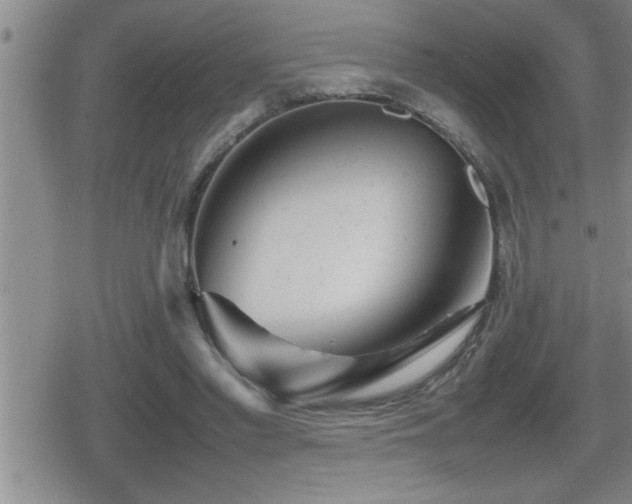 X0000080800397200612151508