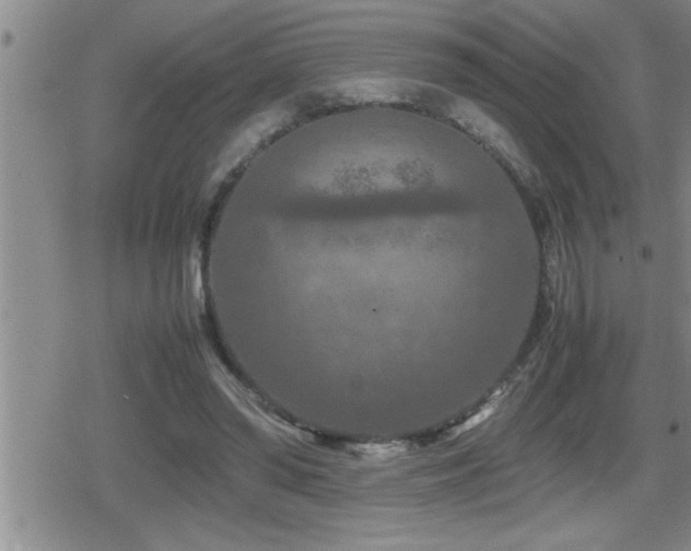 X0000080800398200612151508