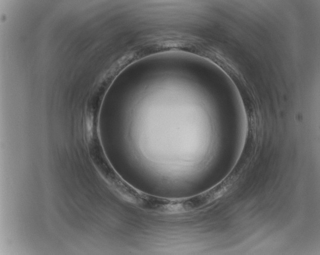 X0000080800406200612151508