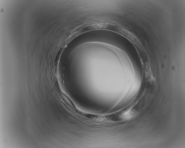X0000080800409200612151508