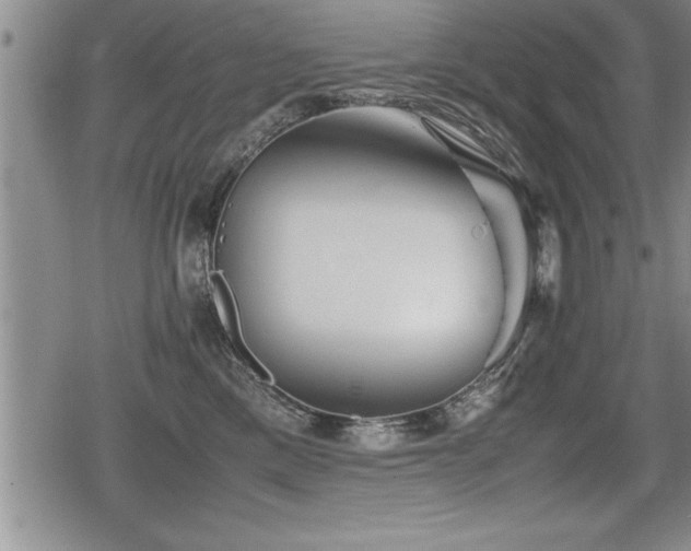 X0000080800425200612151508