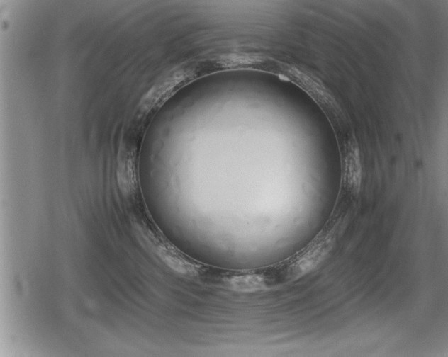 X0000080800426200612151508