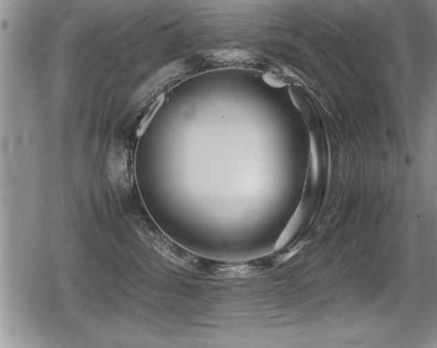 X0000080800428200612151508