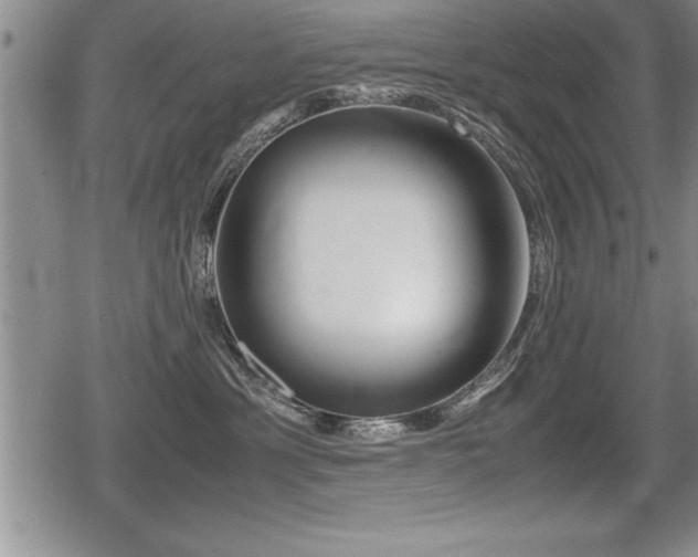 X0000080800429200612151508