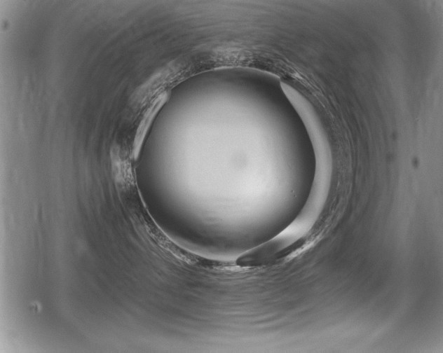 X0000080800432200612151508