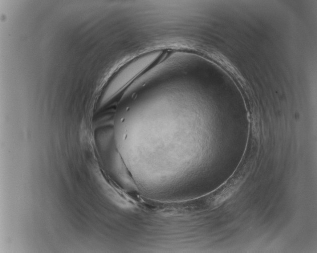 X0000080800434200612151507