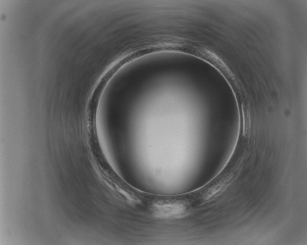 X0000080800435200612151507