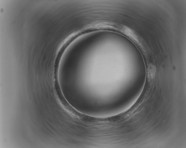 X0000080800438200612151507