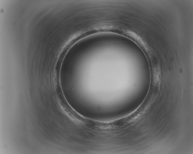 X0000080800439200612151507