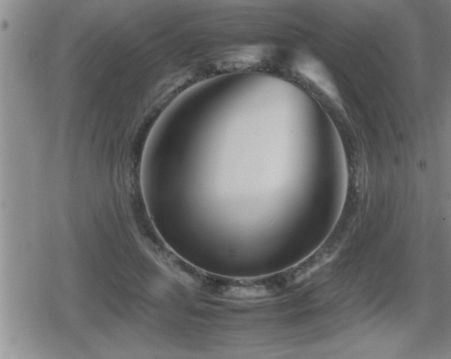 X0000080800455200612151507