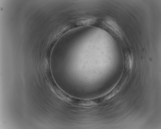 X0000080800459200612151507