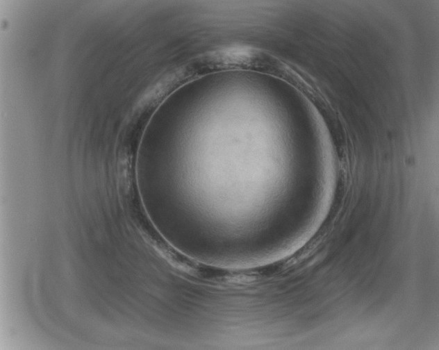 X0000080800462200612151507