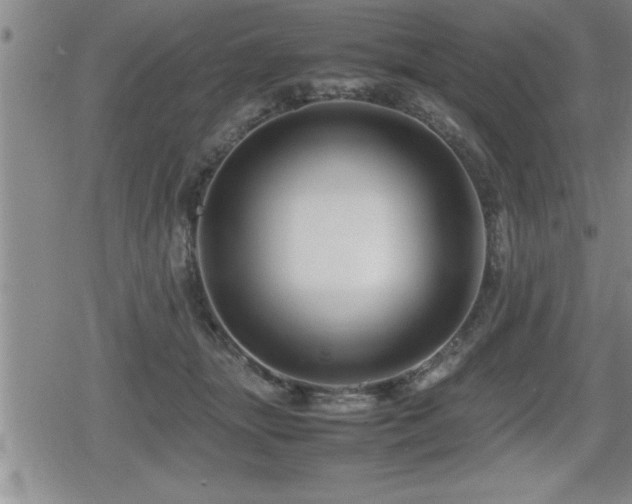 X0000080800463200612151507