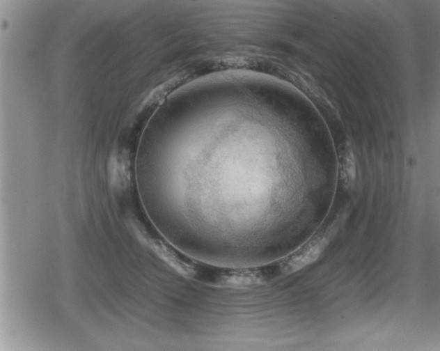 X0000080800466200612151508