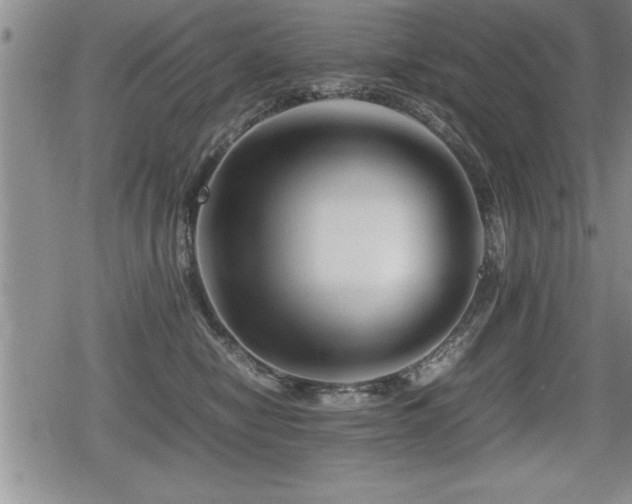 X0000080800470200612151508