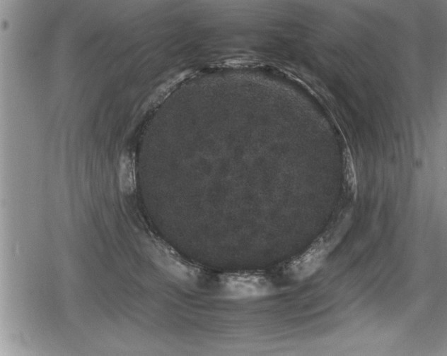 X0000080800471200612151508
