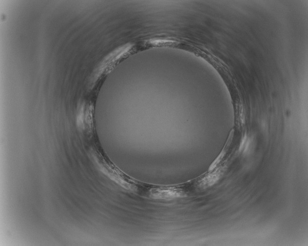 X0000080800475200612151508