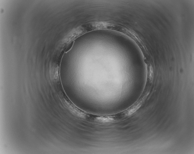 X0000080800477200612151508