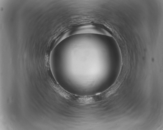 X0000080800480200612151508