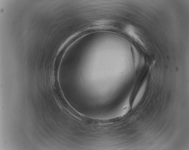 X0000080800484200612151507