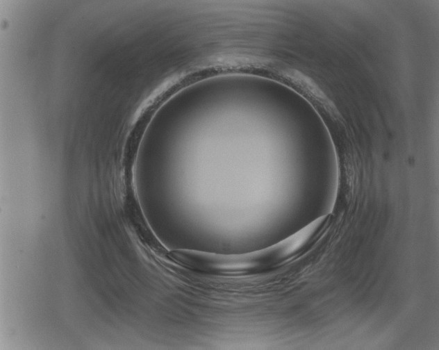X0000080800488200612151507