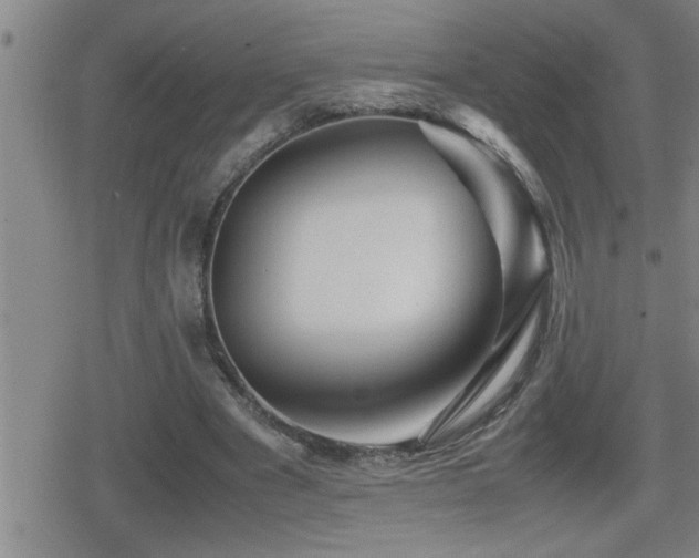 X0000080800489200612151507