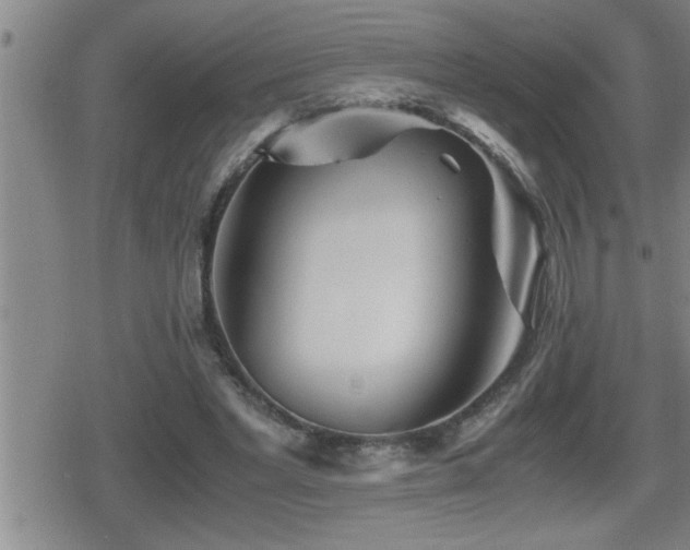 X0000080800493200612151507