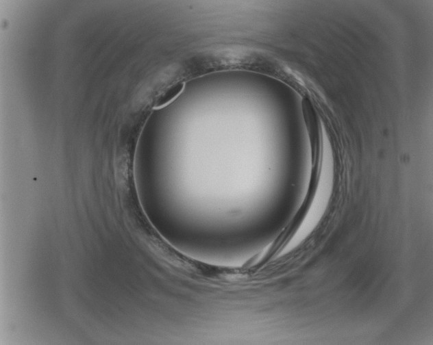 X0000080800509200612151506