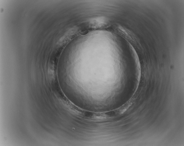 X0000080800510200612151506
