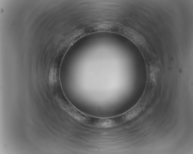 X0000080800514200612151506