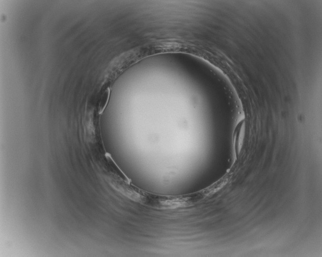X0000080800516200612151506