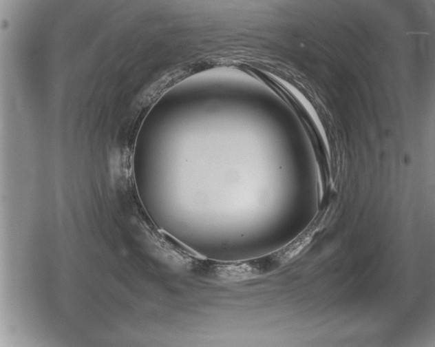 X0000080800525200612151506