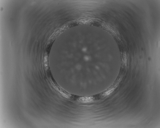 X0000080800526200612151506