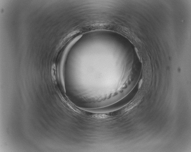 X0000080800528200612151506