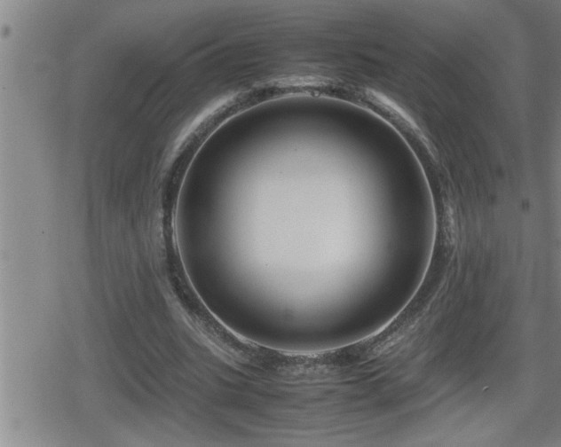 X0000080800535200612151505