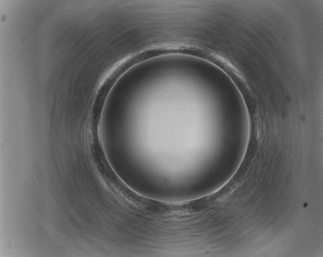 X0000080800536200612151506