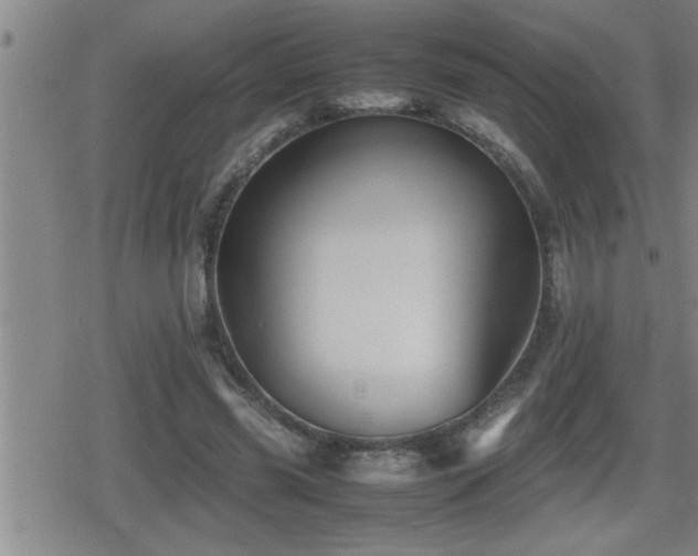 X0000080800541200612151506