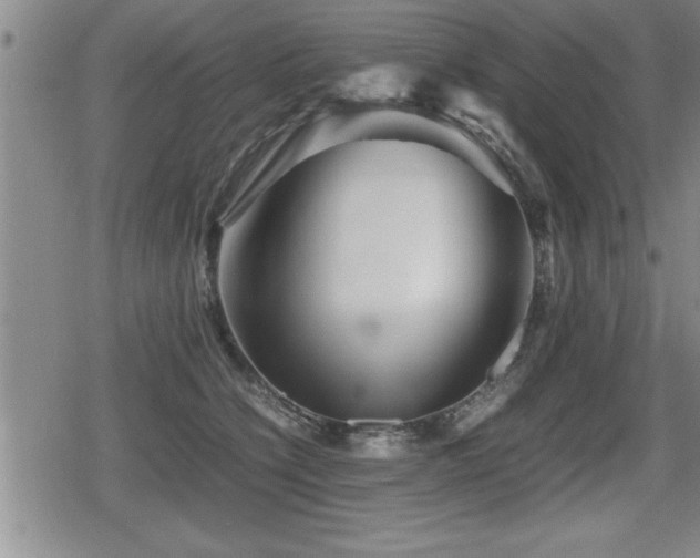 X0000080800564200612151506