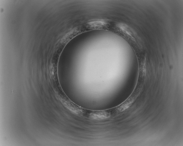 X0000080800567200612151506