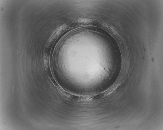 X0000080800576200612151506