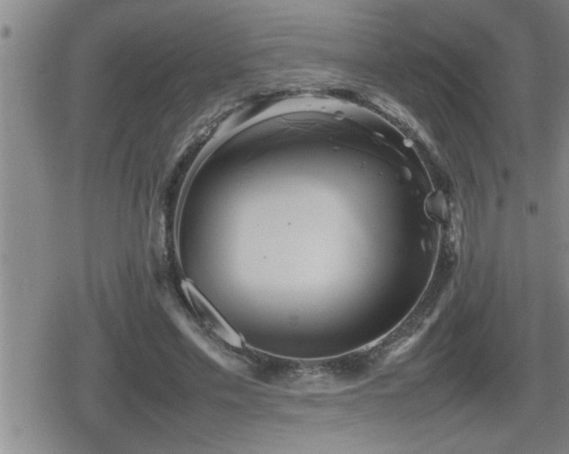 X0000080800589200612151505