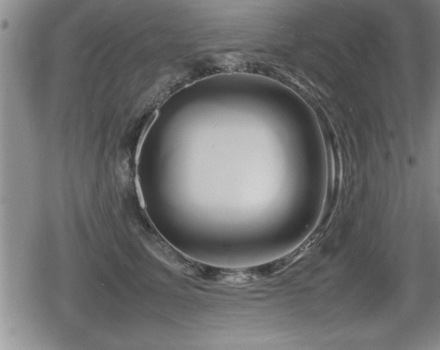 X0000080800611200612151505
