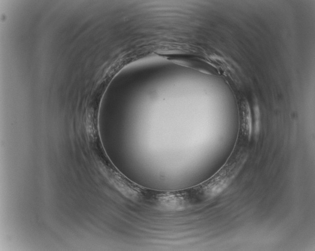 X0000080800616200612151505