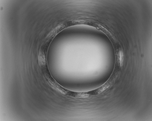 X0000080800617200612151505