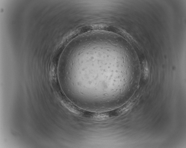 X0000080800619200612151505