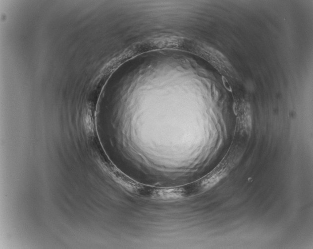 X0000080800622200612151505