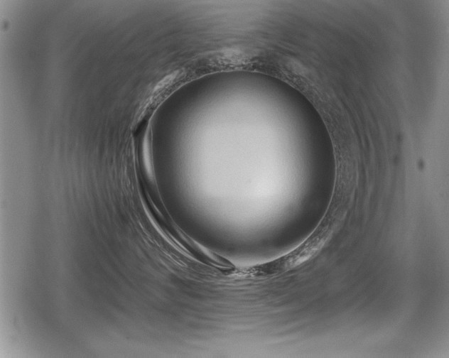 X0000080800624200612151505