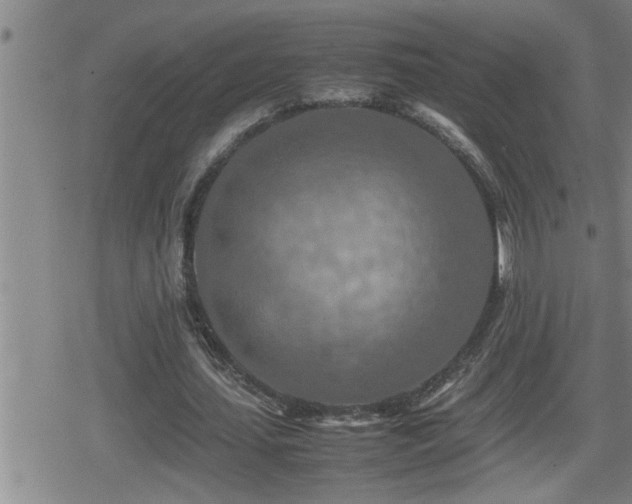 X0000080800627200612151504