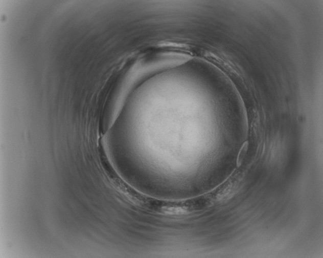 X0000080800649200612151504