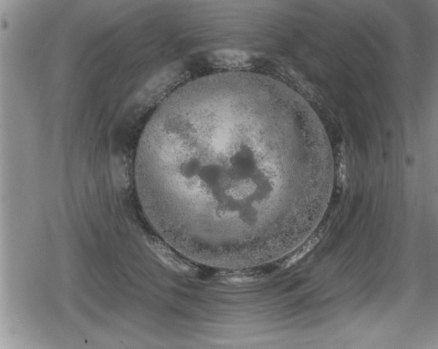 X0000080800658200612151504